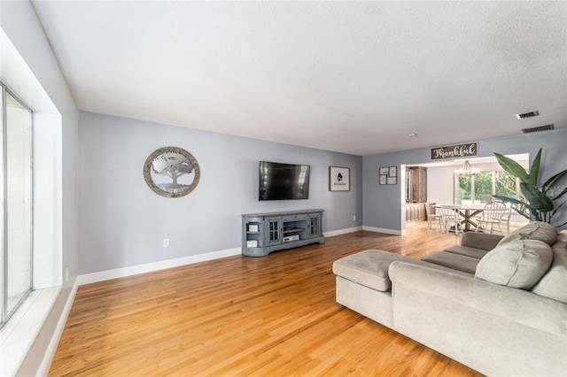 living room with a textured ceiling and light hardwood / wood-style flooring