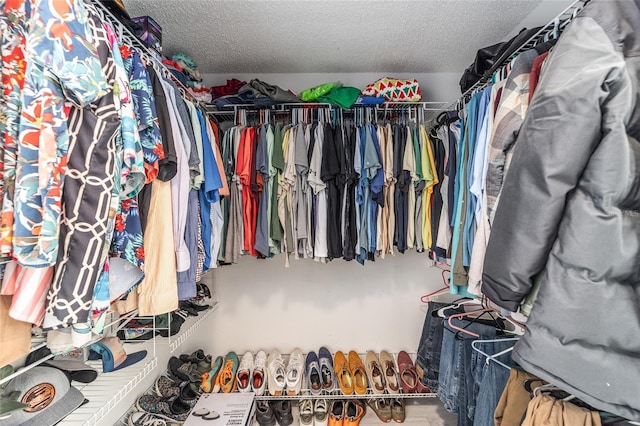 view of spacious closet