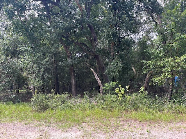 N Rd, Altoona FL, 32702 land for sale