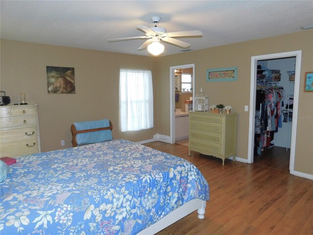 bedroom with a closet, connected bathroom, ceiling fan, dark hardwood / wood-style flooring, and a walk in closet