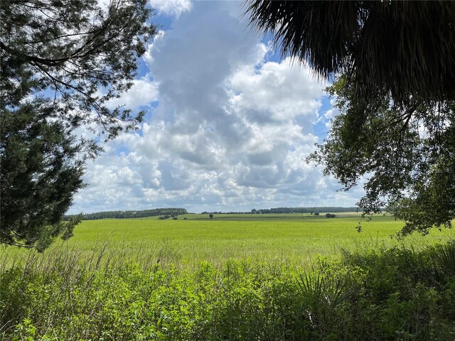 view of landscape with a rural view