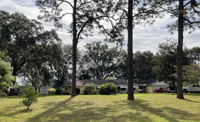 view of yard with a shed