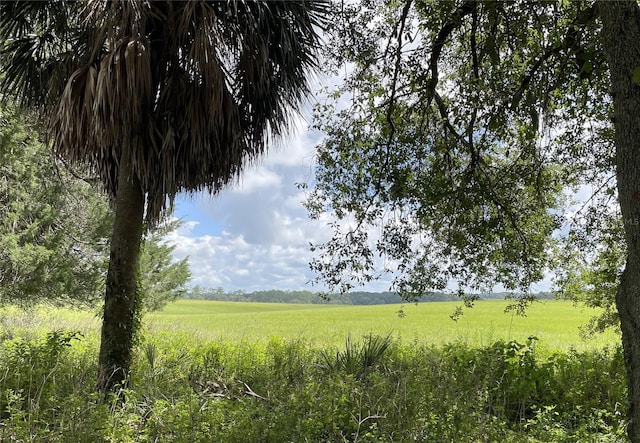 view of local wilderness with a rural view