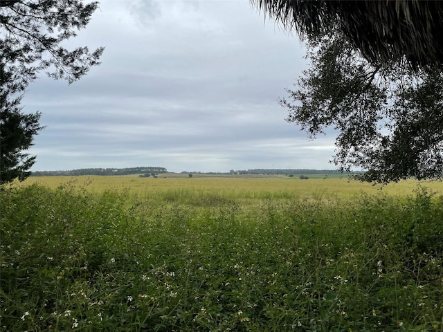 view of landscape with a rural view