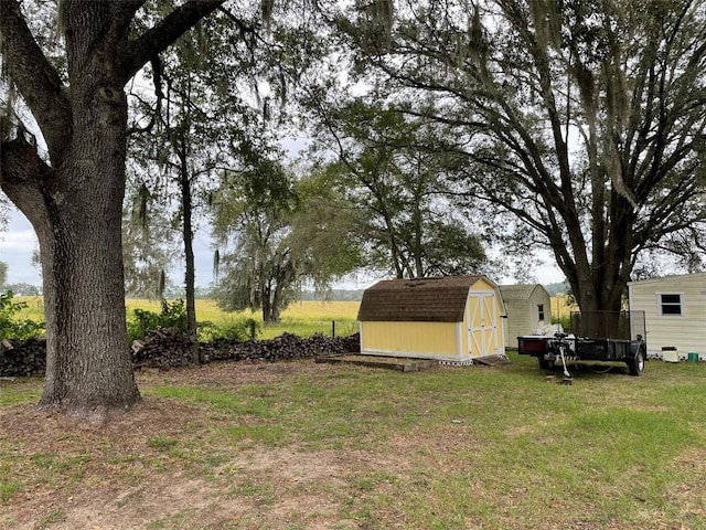 view of yard featuring a shed