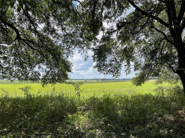 view of local wilderness featuring a rural view