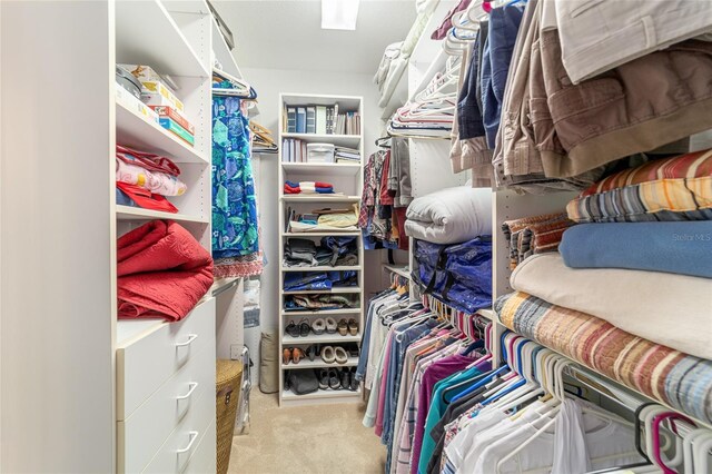 spacious closet with light carpet