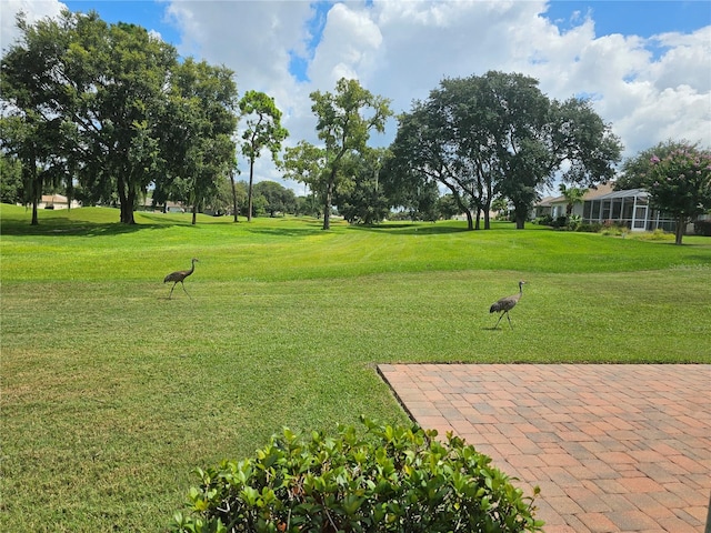 view of property's community with a lawn