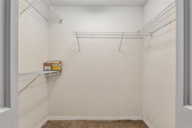 spacious closet with carpet