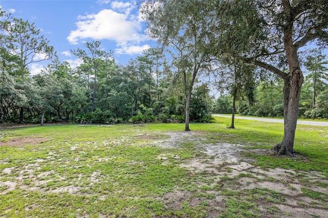 TBD Fisher Way, Ocklawaha FL, 32179 land for sale