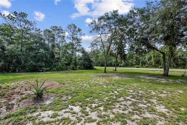 Listing photo 2 for TBD Fisher Way, Ocklawaha FL 32179