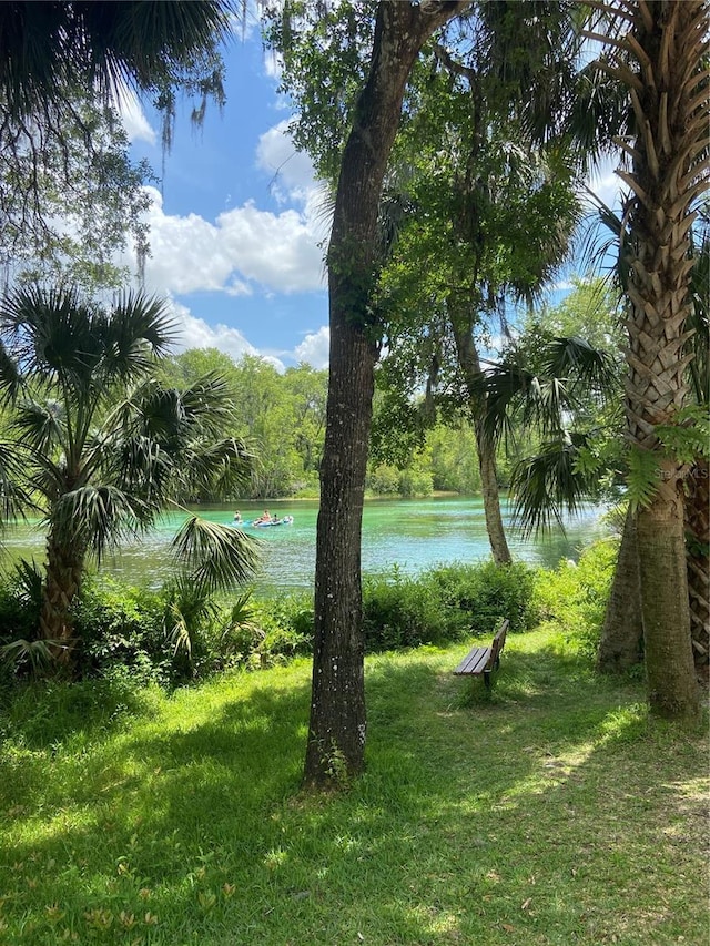 9288 SW 192nd Court Rd, Dunnellon, FL 34432 - view of water feature