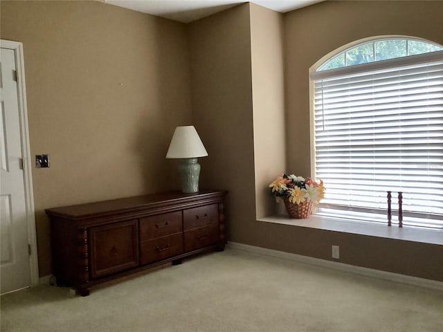 interior space with light colored carpet