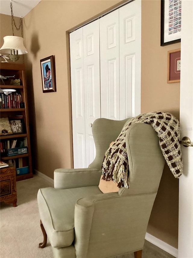 sitting room with carpet flooring