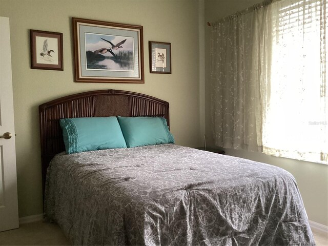 bedroom featuring multiple windows and carpet flooring