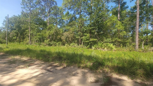 Listing photo 2 for LOT22 Selma Ave, Interlachen FL 32148