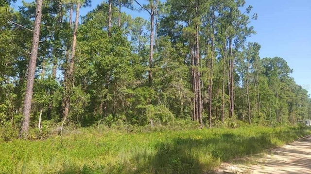 Listing photo 3 for LOT22 Selma Ave, Interlachen FL 32148