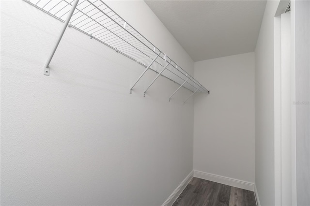 spacious closet featuring dark wood-type flooring