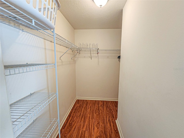 walk in closet featuring hardwood / wood-style flooring