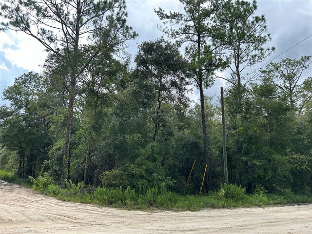 TBD NE 95th Ave, Bronson FL, 32621 land for sale