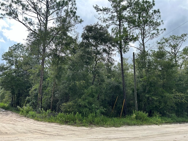 TBD NE 95th Ave, Bronson FL, 32621 land for sale