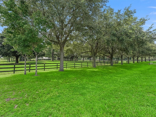 view of yard featuring a rural view