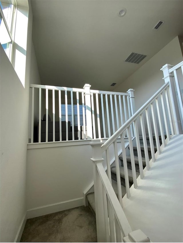 staircase with carpet