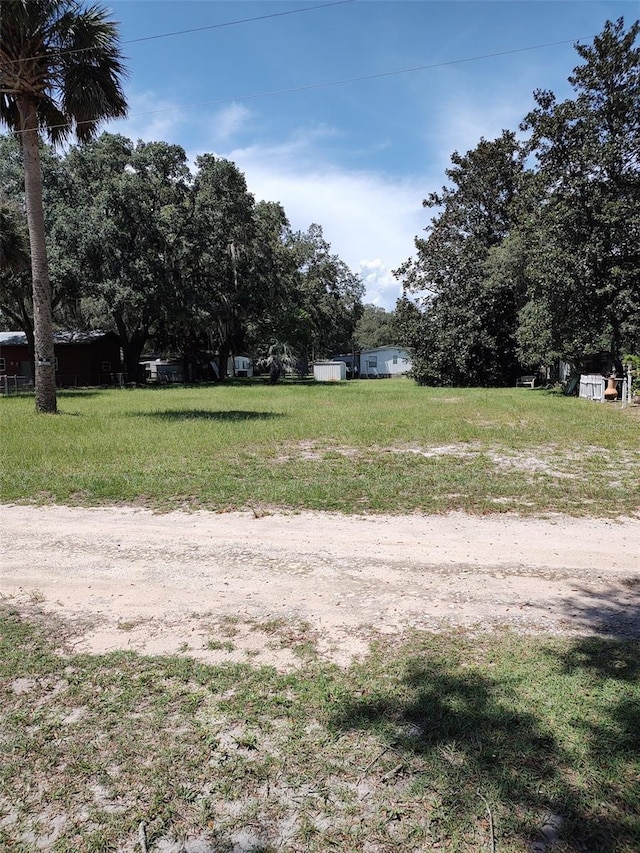 153rd Ln, Fort Mc Coy FL, 32134 land for sale