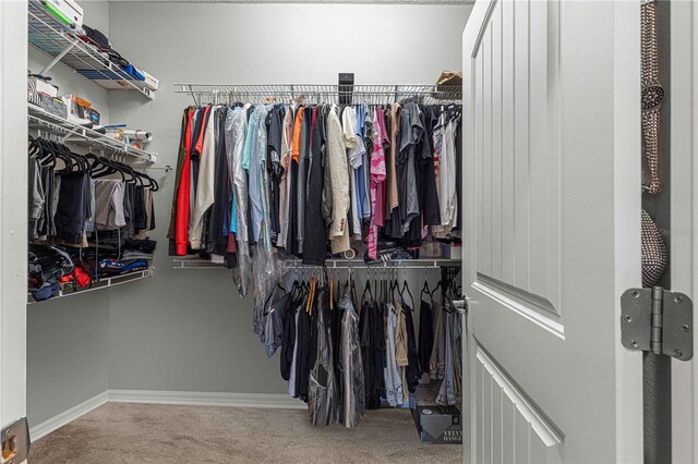 walk in closet featuring carpet