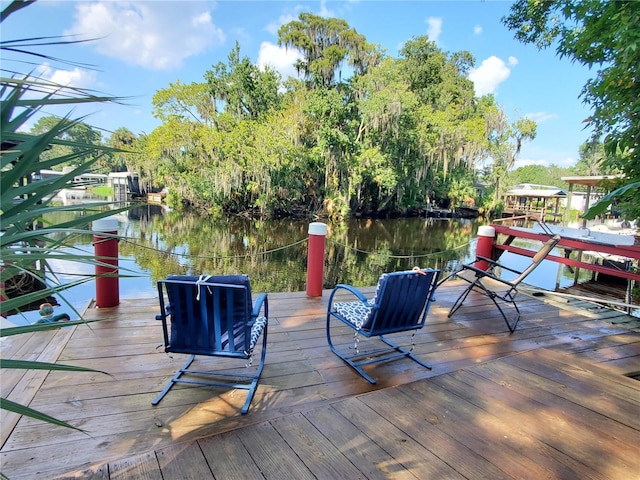 dock area with a water view