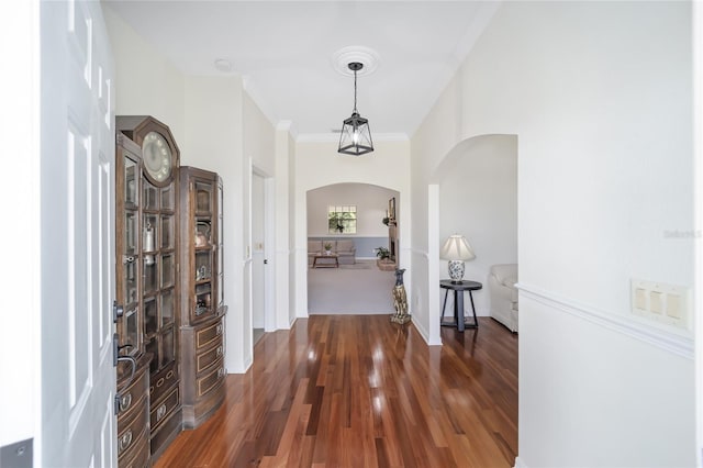 corridor with dark hardwood / wood-style flooring and ornamental molding