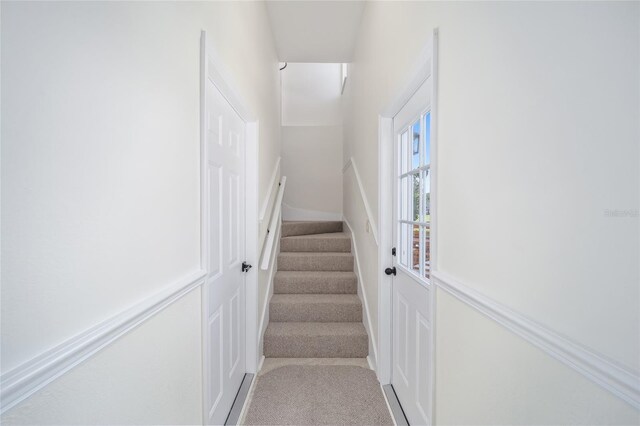 stairs with carpet floors