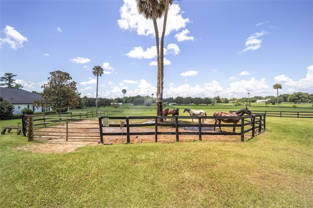 view of yard featuring a rural view