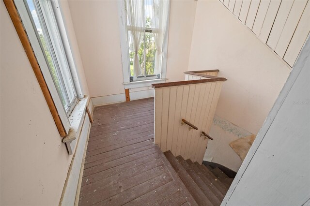 stairs featuring dark hardwood / wood-style floors