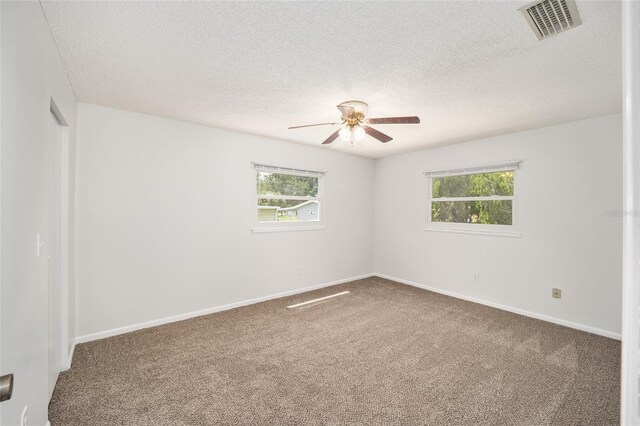 carpeted spare room with ceiling fan, a textured ceiling, and a wealth of natural light