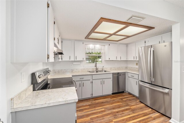 kitchen featuring gray cabinets, light countertops, appliances with stainless steel finishes, a sink, and wood finished floors