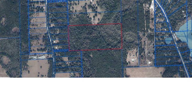 Listing photo 3 for TBD SE 225th Dr, Hawthorne FL 32640