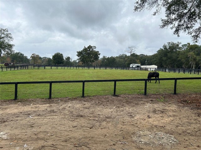 view of yard featuring a rural view