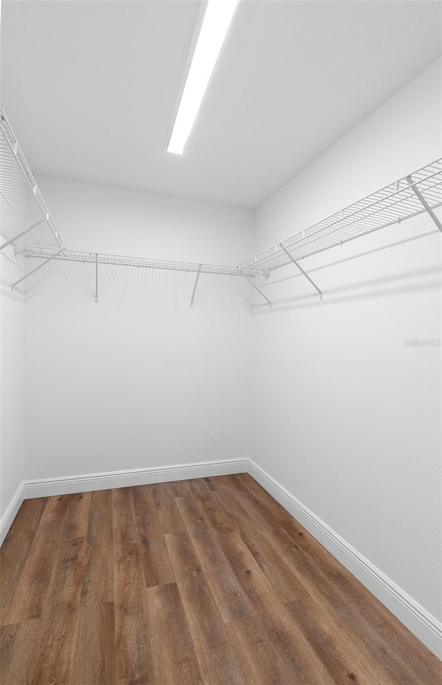 walk in closet with wood-type flooring