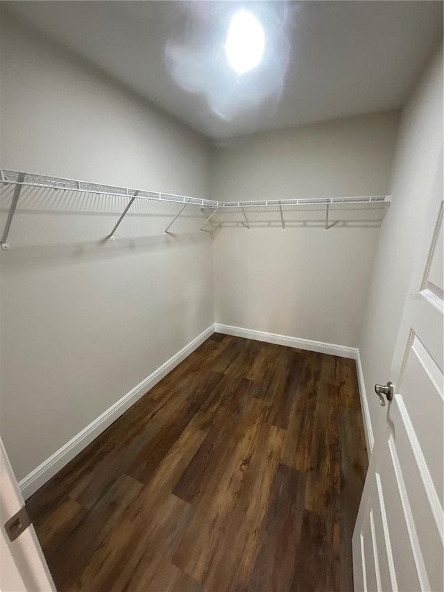 walk in closet with dark hardwood / wood-style flooring