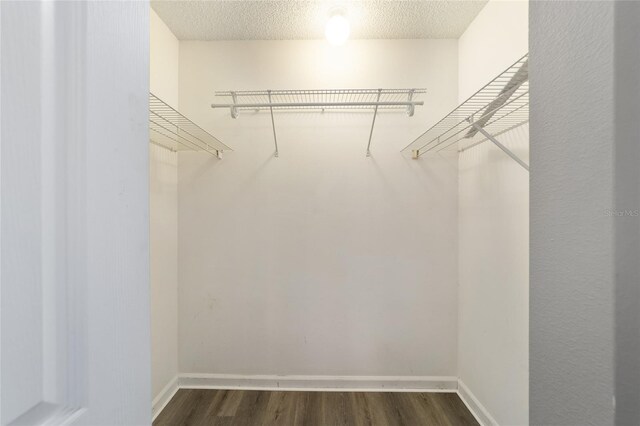 walk in closet featuring dark wood-type flooring