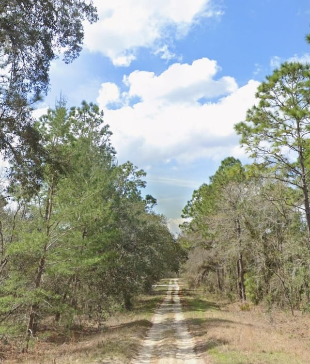 SW 95th Pl, Dunnellon FL, 34431 land for sale