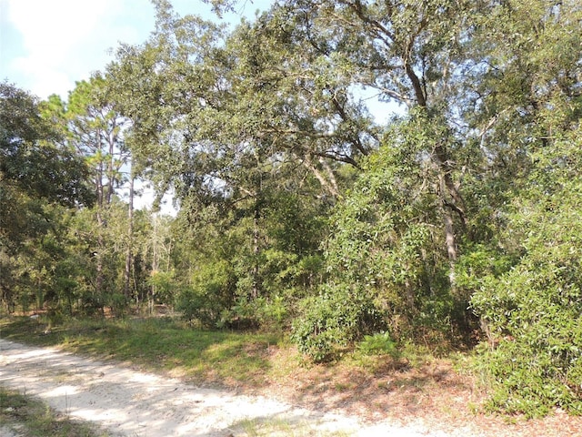 Listing photo 3 for 7550 NE 95th Ave, Bronson FL 32621