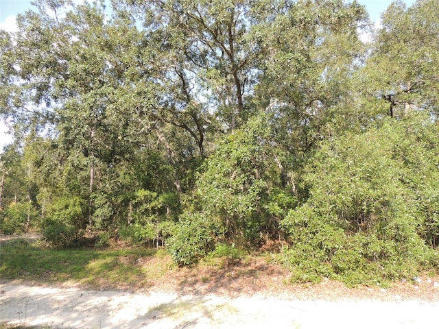 7550 NE 95th Ave, Bronson FL, 32621 land for sale