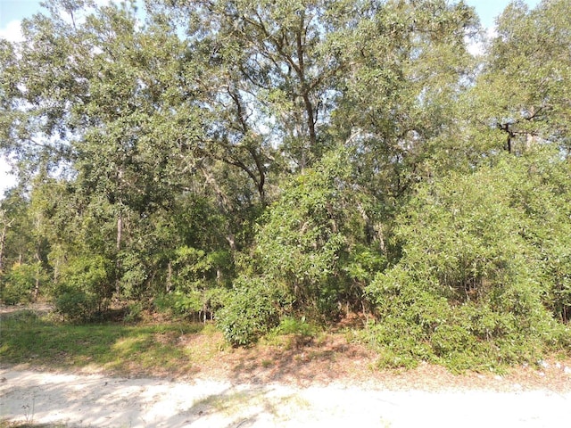 7550 NE 95th Ave, Bronson, FL 32621