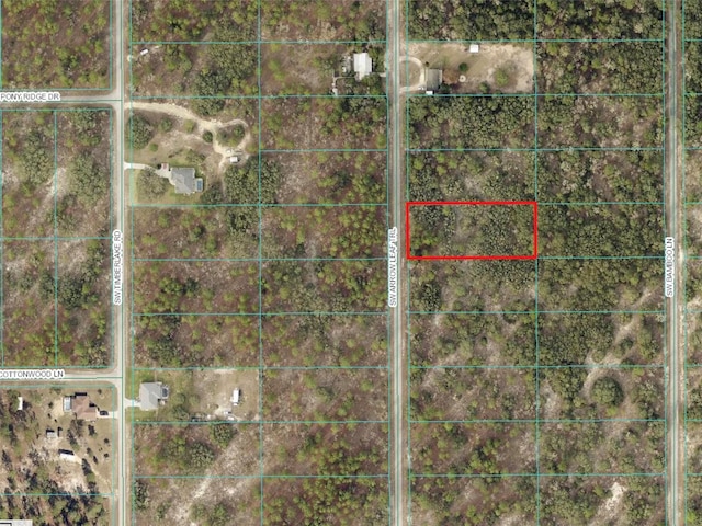 Listing photo 2 for TBD SW Arrow Leaf Trl, Dunnellon FL 34431