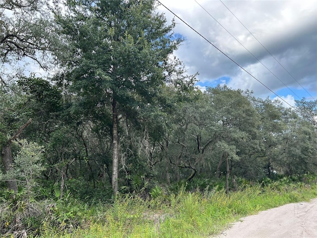 SW 152nd Pl, Dunnellon FL, 34433 land for sale