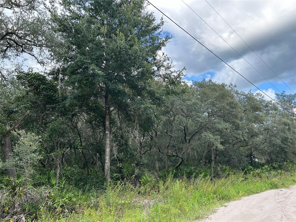 SW 152nd Pl, Dunnellon, FL 34433