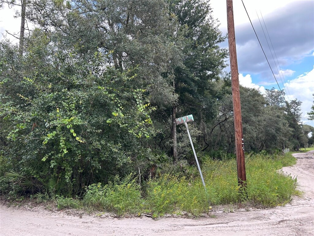 SW 152nd Pl, Dunnellon, FL 34433