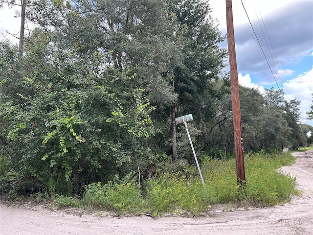 SW 152nd Pl, Dunnellon, FL 34433
